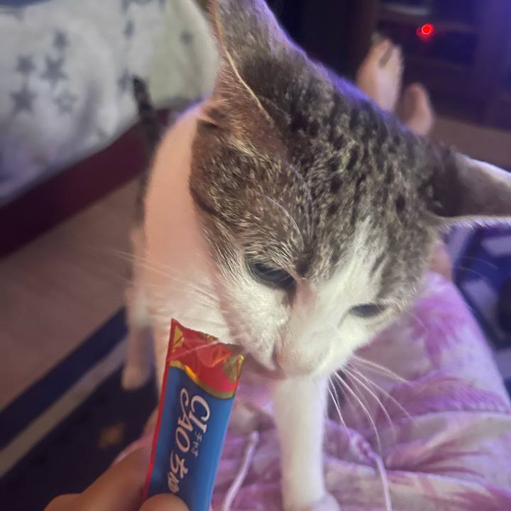 Da4af3ad 3be5 4434 b1f2 c96e2063a912 1625649870815