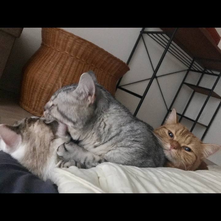 Da4af7f2 b167 47e0 a70e d2f96b5a4ab4 1508632837254