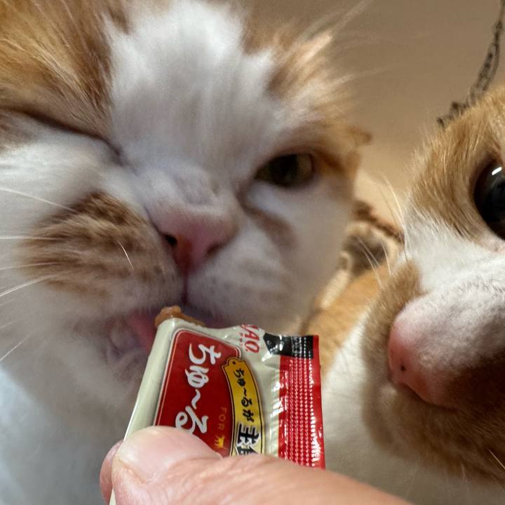 Da4b09ce 6eef 4d0d a59d d2ac4c310937 1769230260822