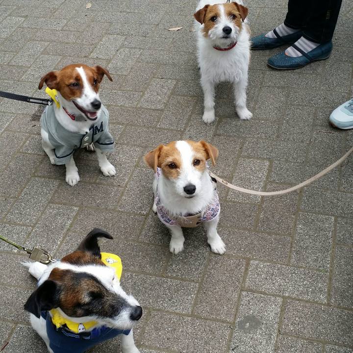 Da4b1d4a 08bb 41c8 8bed a5f281acd028 1523695196501