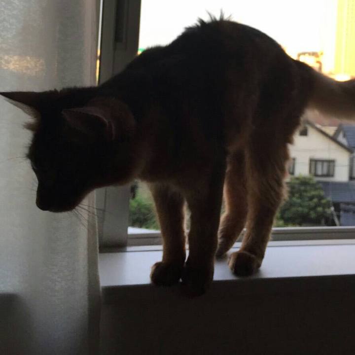 Da4b445f ba94 4f20 930d aa30e47ec966 1565044171356