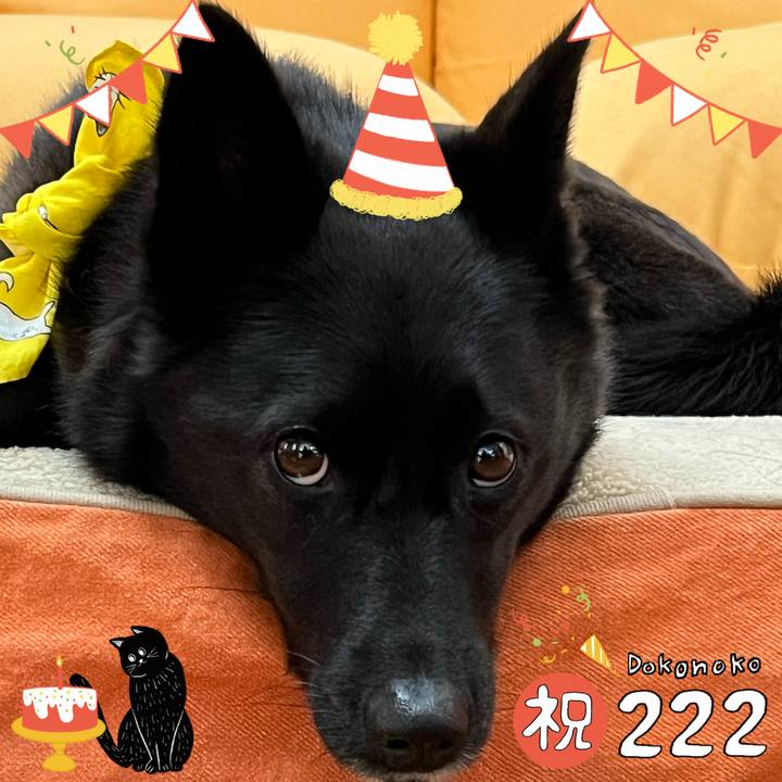 Da4b4a43 4d2a 483c b1e2 9e3bdd21a916 1645521331184