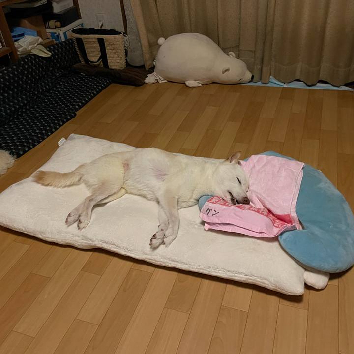 Da4b6e9c e234 4464 9e21 934bfff19fdd 1663247619119