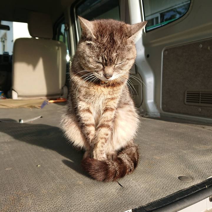 Da4b6feb d488 45dd b8b2 8476006f52d5 1559250040669