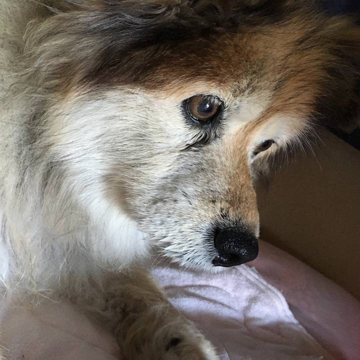 Da4b9395 4cbe 4c85 af39 eb0777e103bc 1571010327881