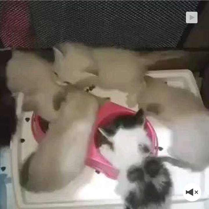 Da4bd6ed dd30 43bd a1e3 f4668aae1fc4 1567129952213