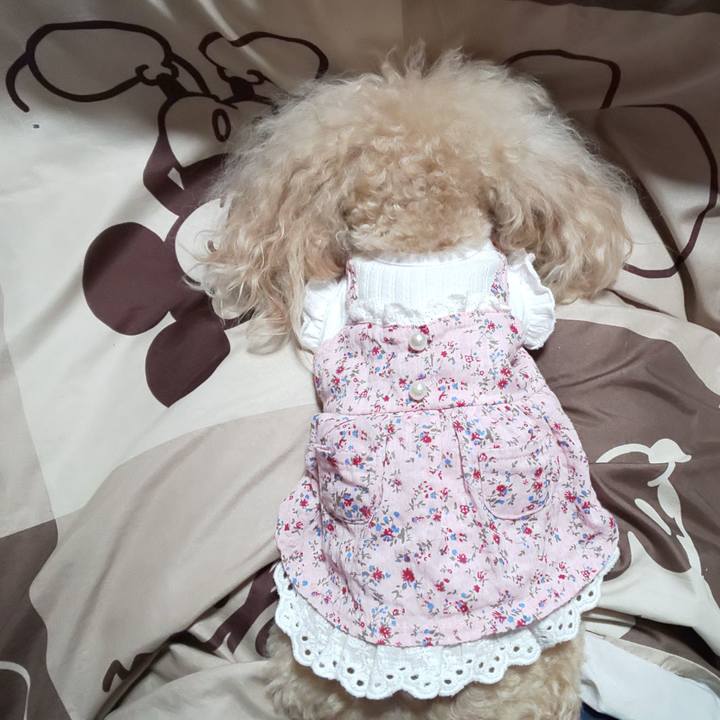 Da4bf9eb 1d53 4f14 b8b3 1cdb5861412c 1586421322593