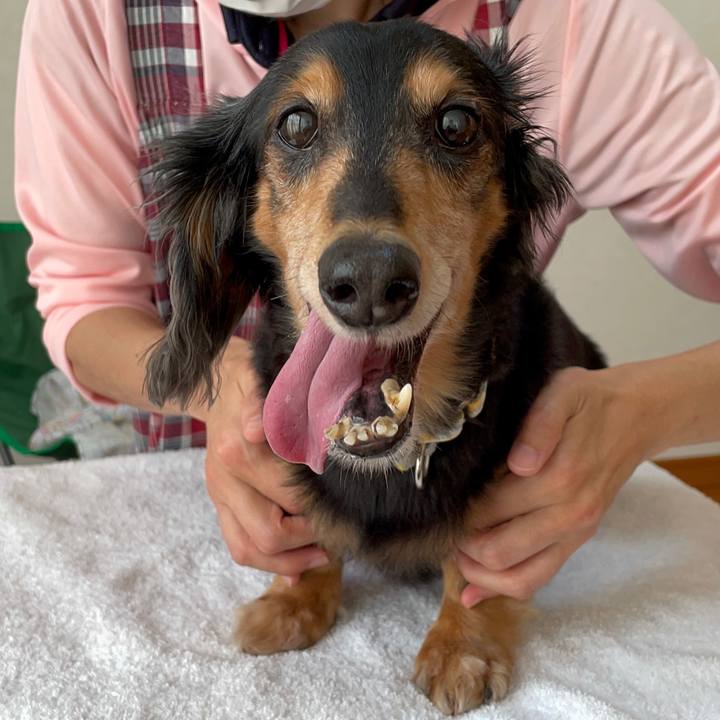 Da4c010a 7a0f 4ad2 9455 08fb8115275b 1633905104947