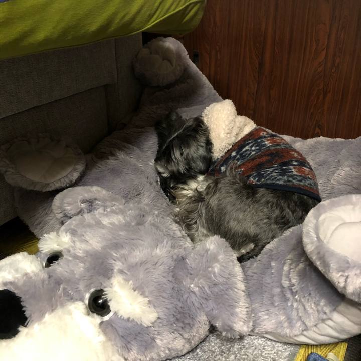 Da4c0932 29f3 4b49 a2ed 9dd9db21c318 1677505351671