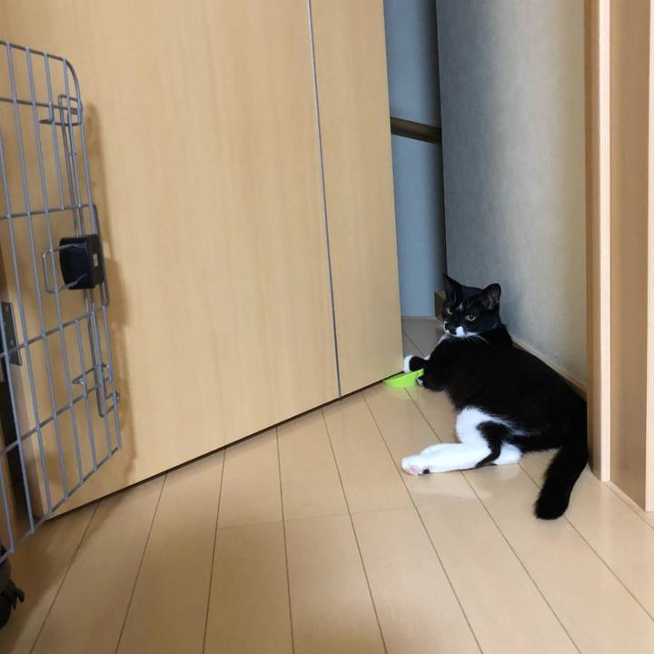 Da4c137f 1f6a 4289 a46f aa18fdadf7a9 1533882431172