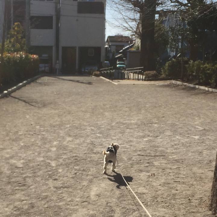 Da4c1846 d083 477e ae8a d8e85ff14b0a 1514971670082