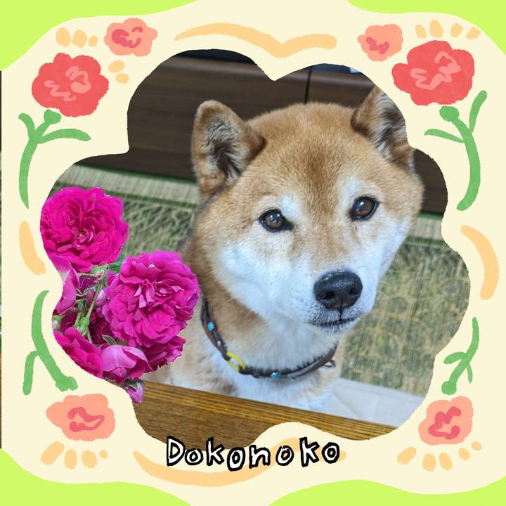 Da4c31b3 dd8f 466a a6c4 fa1cc060b255 1715497813203