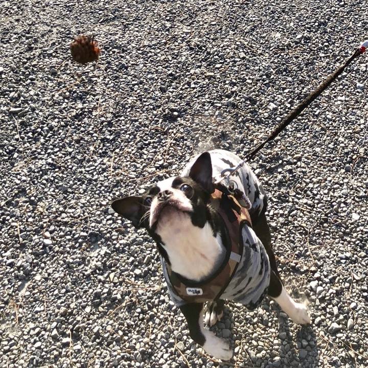 Da4c58f0 6c40 464a b3ed 9c38069cf4ac 1519718094912