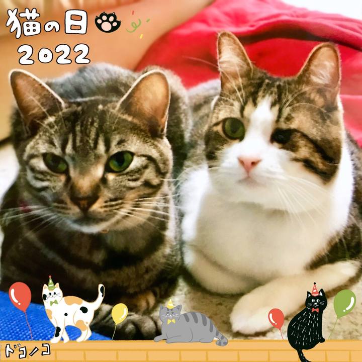 Da4c6066 773b 4b9a 99fa eb1402843457 1645513847384