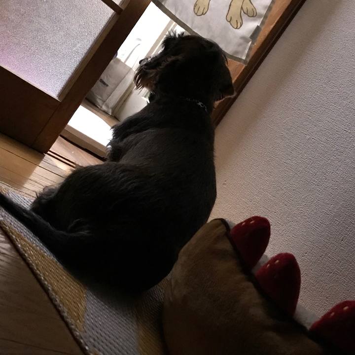 Da4c965c 0725 479c 8036 eef70d87cf45 1519404263147