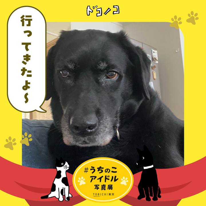 Da4ce055 3a2b 4fa1 b786 6370b80a4531 1761103215350