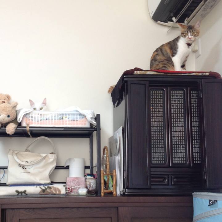 Da4d007c f338 4274 834f a49be013f2d8 1642741242693