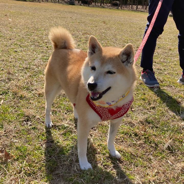 Da4d0a33 a381 49fe aeb3 25f283c1684e 1613309721119