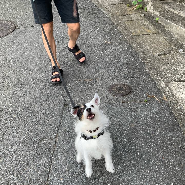 Da4d1a1e 519a 482c ace4 8f035c70e9c7 1751670459854