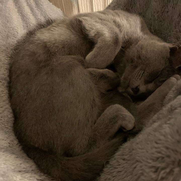 Da4d22ca 2a4b 4f75 ba15 11295143cbed 1577524176664