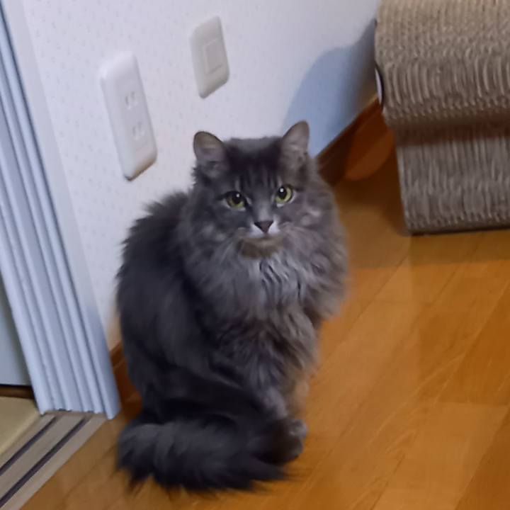 Da4d2d2a 794b 425a 8457 4d09ce9c7cc3 1606464075488