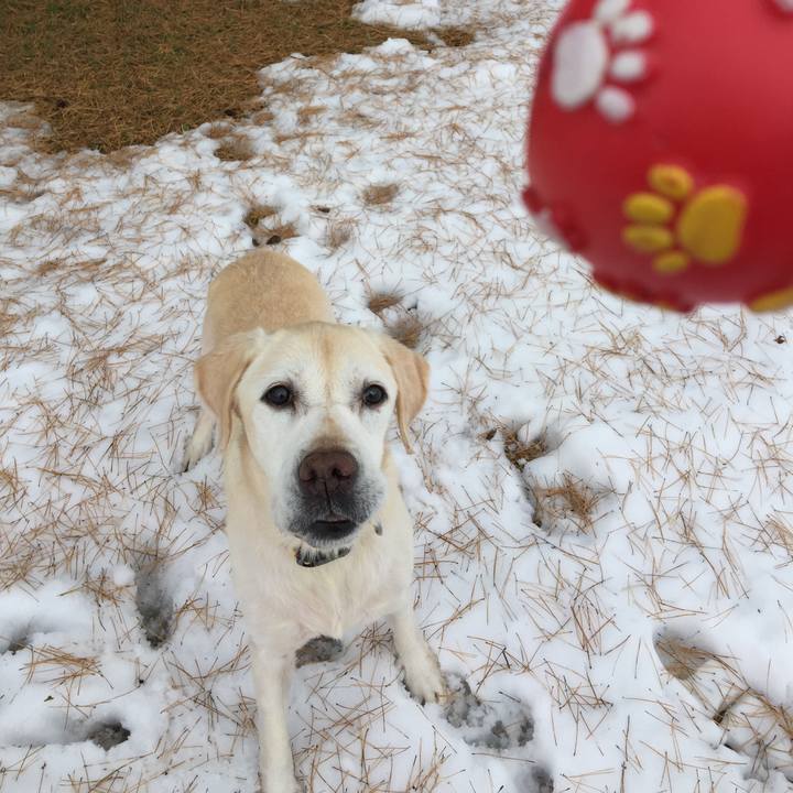 Da4d3fab a508 4cec 91e0 1cee9f155f55 1511233812471