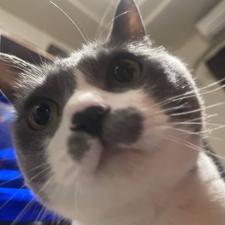 Da4d56e2 41d3 4a5d abc9 35ca23622ad1 1745421692732