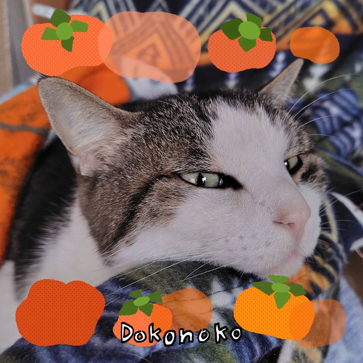 Da4d6061 f643 403a 92d6 69af8253b21f 1762057936416