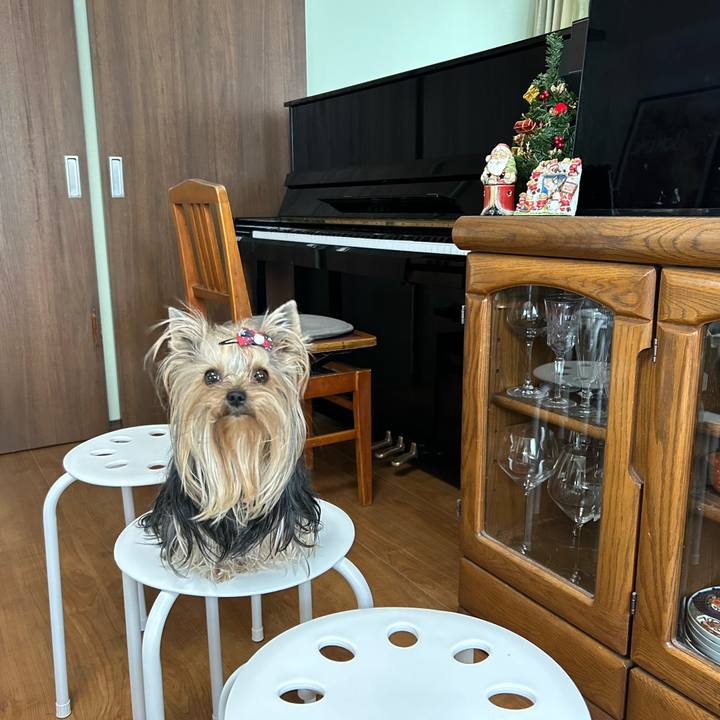 Da4dcfd1 41a9 4467 85b2 4c7a2f6b2219 1703405976751