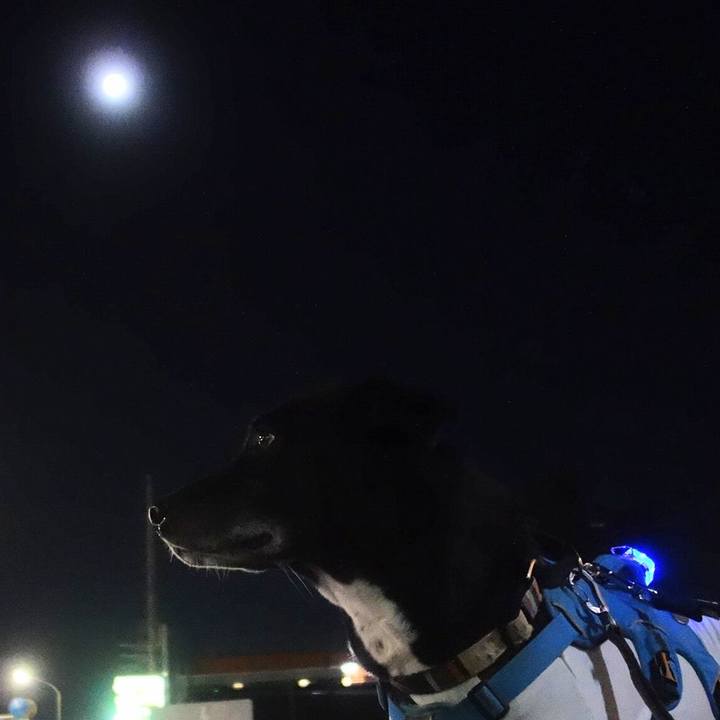 Da4ddeba 99da 49ec 8710 511ade5fc323 1703588158713