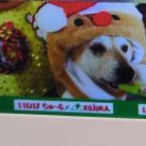 Da4de951 f958 41a6 af6a 73b920a5d154 1771933782087