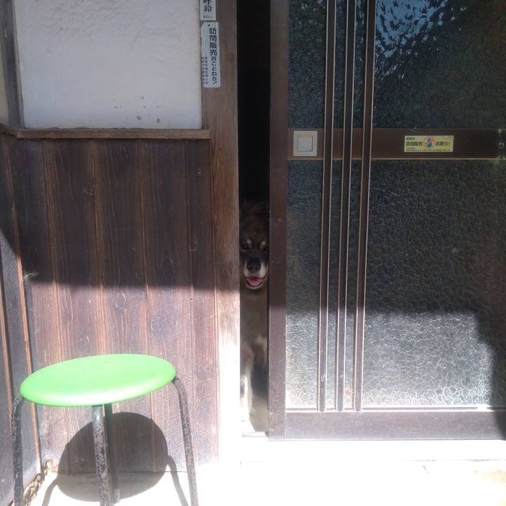 Da4df2a3 b29e 49ac 87f5 d6abf28f1c22 1633138300917