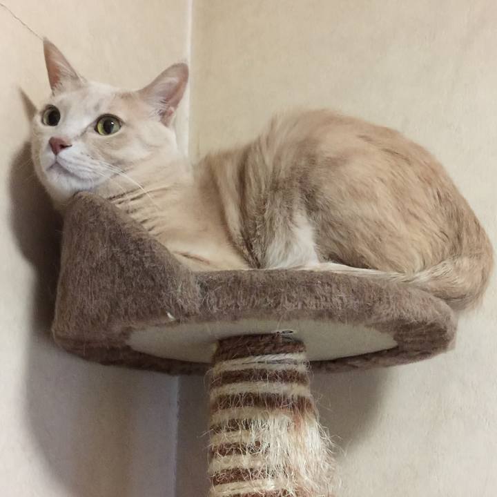 Da4e0845 8104 42b2 9fcf 09781a6e091e 1515147843906