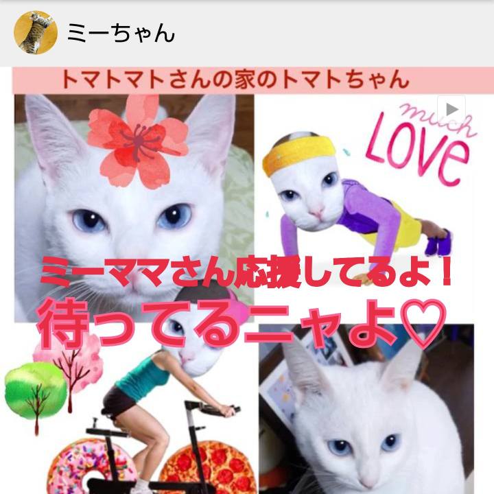 Da4e23f8 27e8 4a16 a2a8 363336c4d0d7 1665969304414