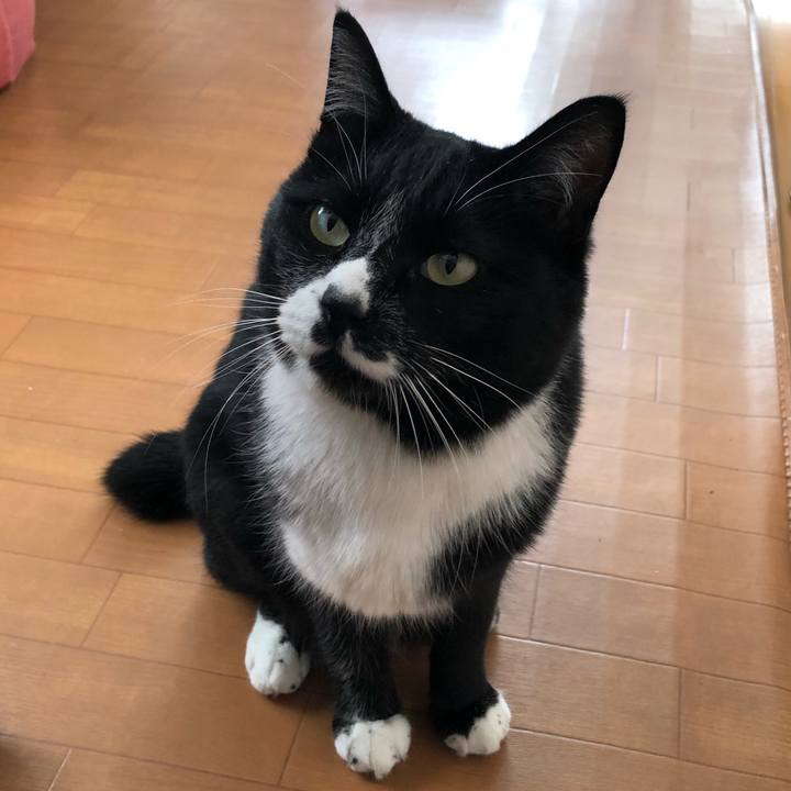 Da4e6e6a 160d 45f2 8295 0a5154bc9a18 1649129952980