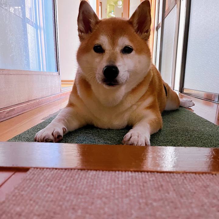 Da4ed113 f8a2 4cb2 9e98 23bfeac884e8 1694303498021