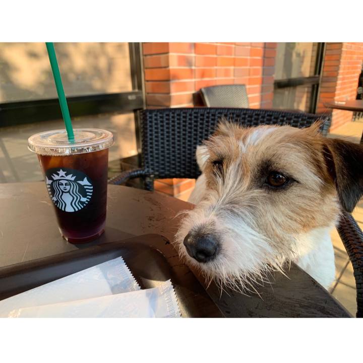 Da4ee5bb 6298 4bc8 84cc ea46b3fe53d7 1591528010667