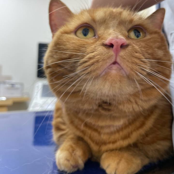 Da4ef3bd 4e46 4c1f 8143 8165931d5de1 1660181236468