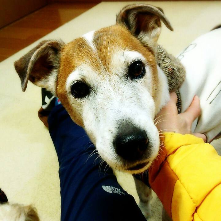 Da4efbc3 6c54 44c7 8e79 5bd007b75ac8 1518339573292