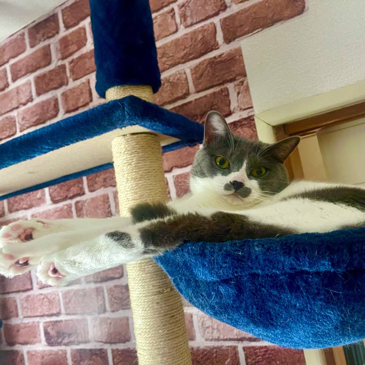 Da4f00b8 6bc3 48a0 891b baf57914ec1a 1629071580577