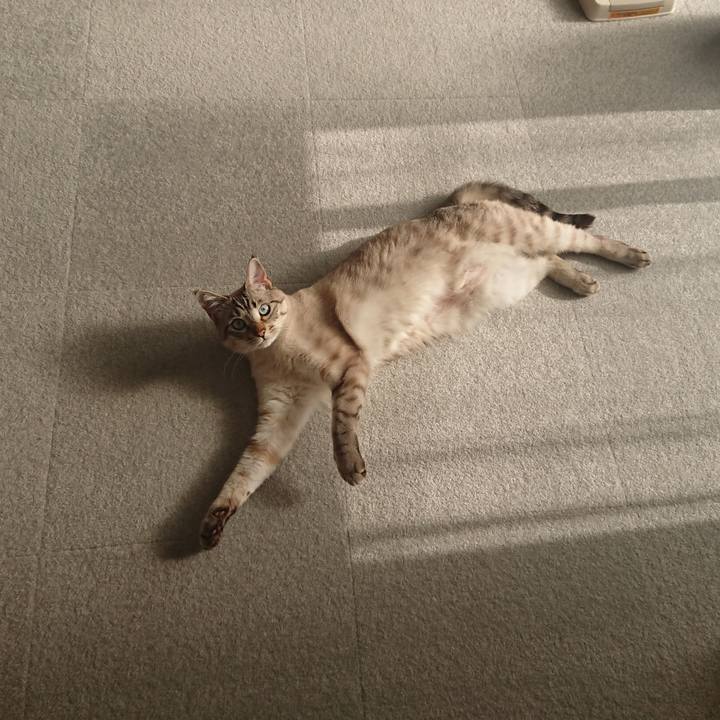 Da4f5367 77c6 45a6 8a04 7872aba44083 1524294107238