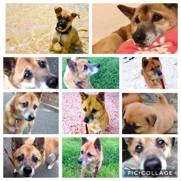 Da4f8145 cd8e 4273 a24c 18e4f2095243 1569056560903