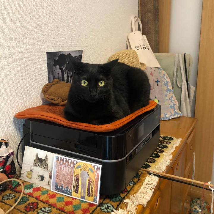 Da4f99f7 7ad0 4242 bfd6 5ac80c83c56b 1572307146868