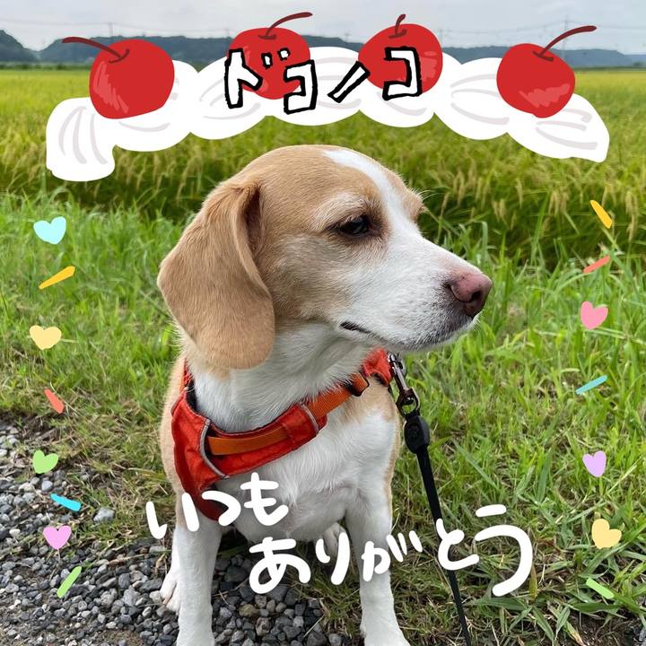 Da4fa832 ae05 43ff a633 500820551fb3 1685968697040