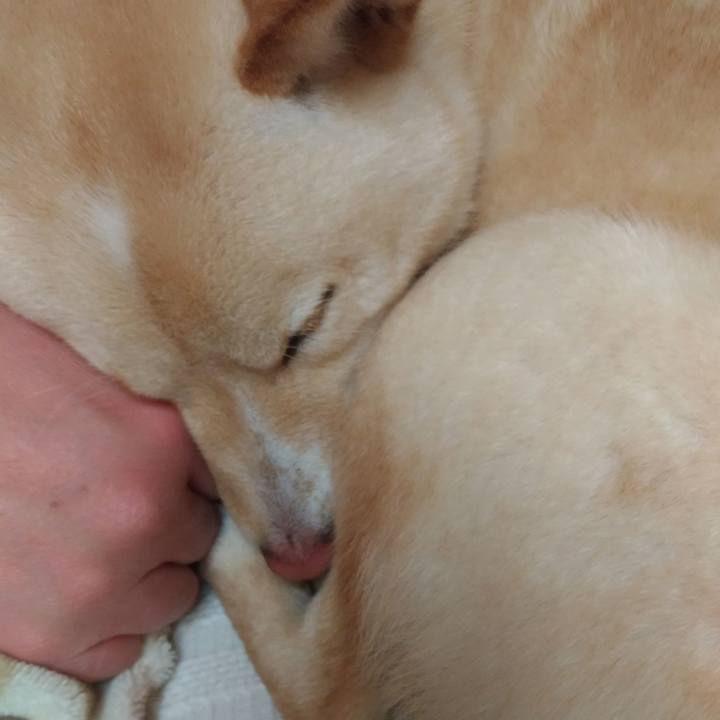 Da4fe609 9f91 4b1c ae26 58b78ed78d5c 1518869234002