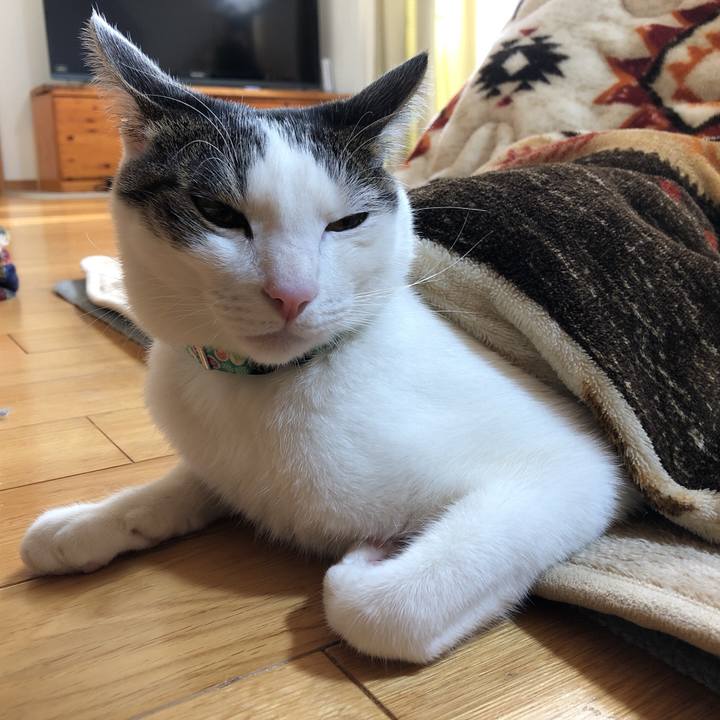 Da505a62 9c0d 47f9 a7a6 f01fd421dc0b 1610346700819