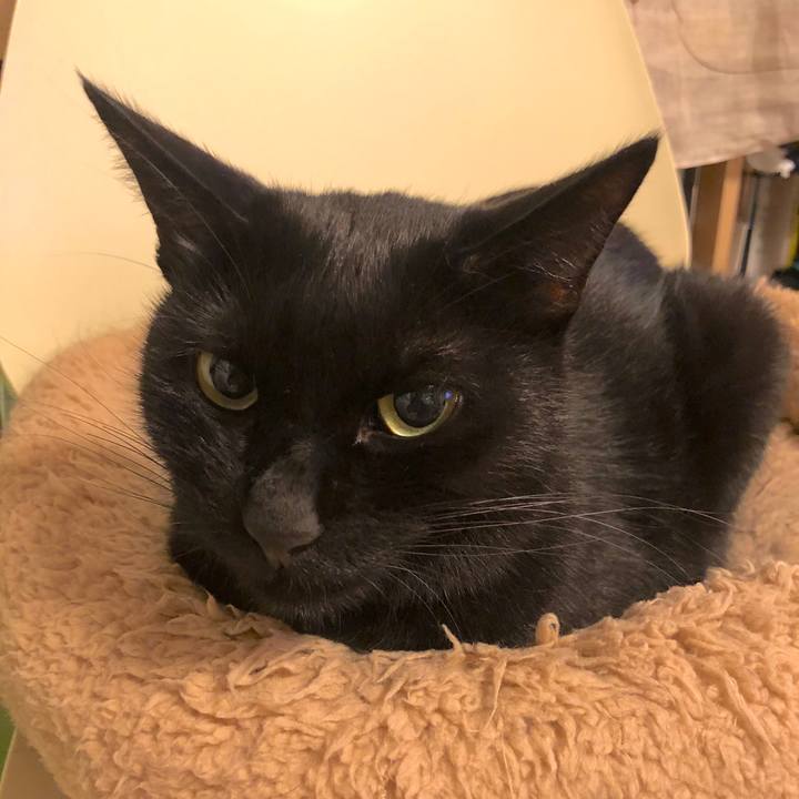 Da5064cf e988 4736 a556 27d8bb68eb8c 1573473538707