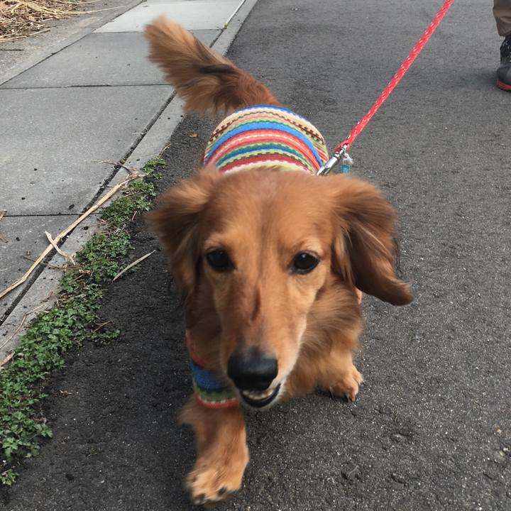 Da507552 07e5 4c48 8eba 27ab1e7aa5c5 1520840258381