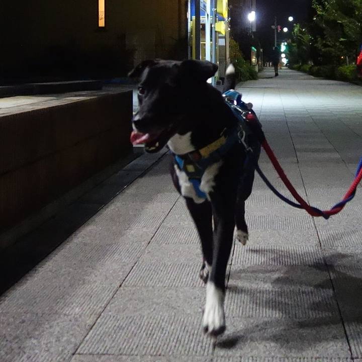 Da507c5e 92bd 4d96 a156 38207dd44d9b 1633879222039