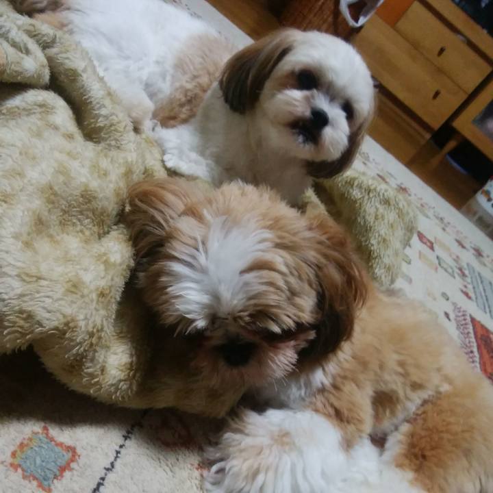 Da508a85 7651 4c61 a7dd 7fde70adabf9 1566734110986